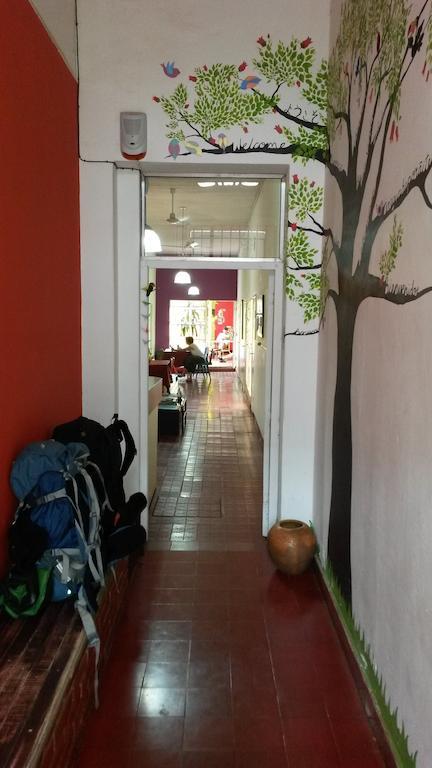 Hostel Posadena Linda Посадас Экстерьер фото
